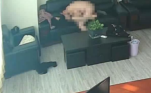 张祥收礼监控后又传办公室不雅视频，片中男女身份引发争议
