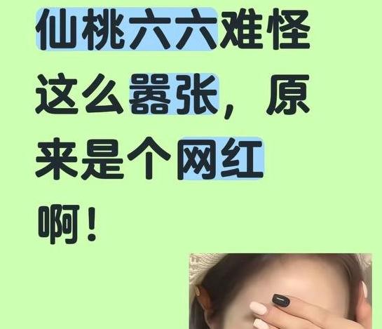 湖北仙桃电梯冲突后续 双方已经和解,男孩母亲被指为网红六六