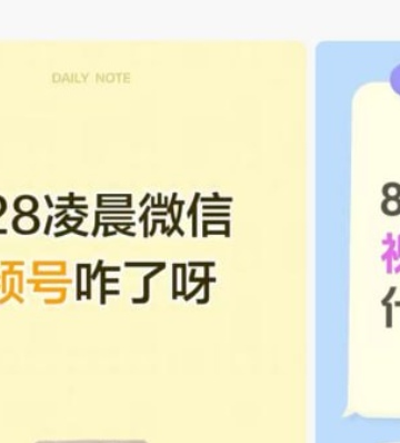 8月28日微信视频号异常搜索讨论