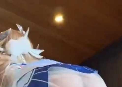 猫猫碎冰冰蓝白造型头部与背景