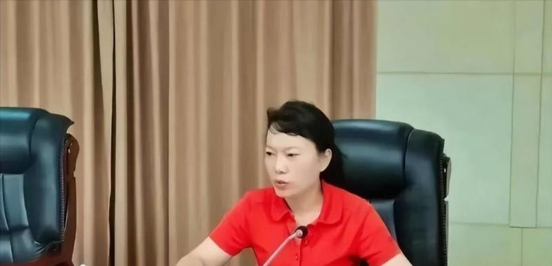凌娅在会议桌前发言