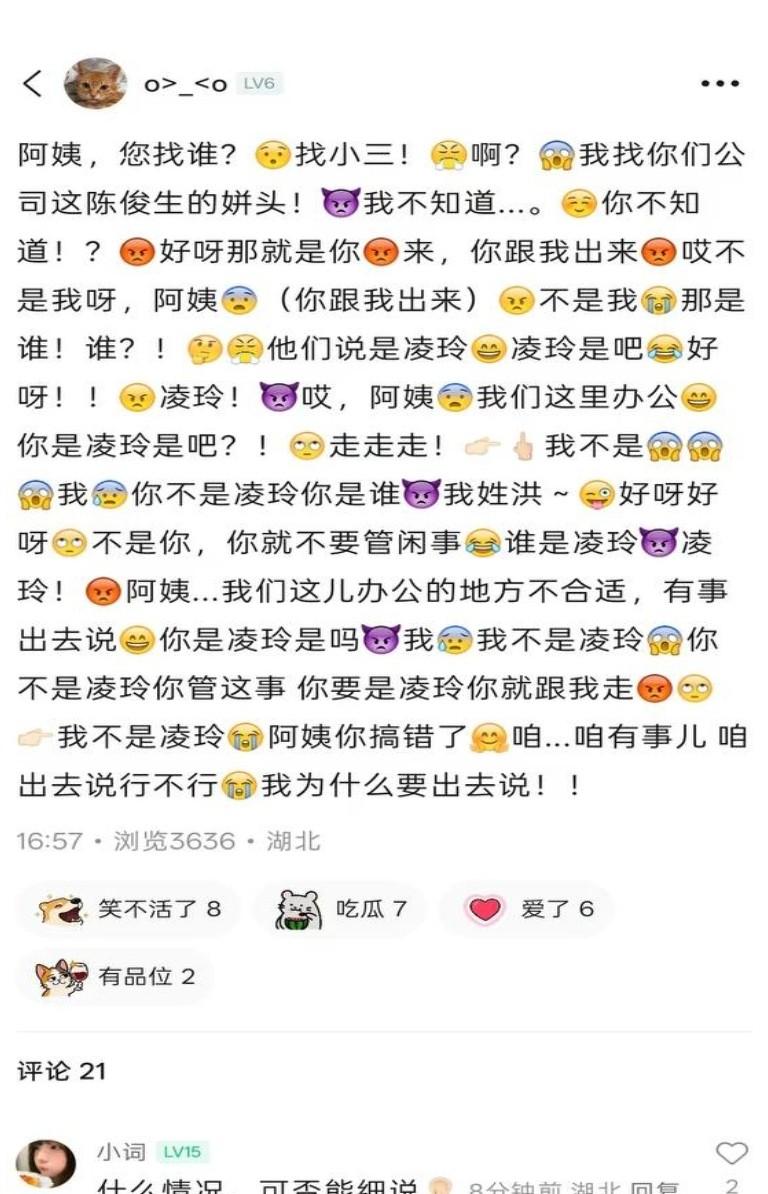 凌玲事件聊天材料截图