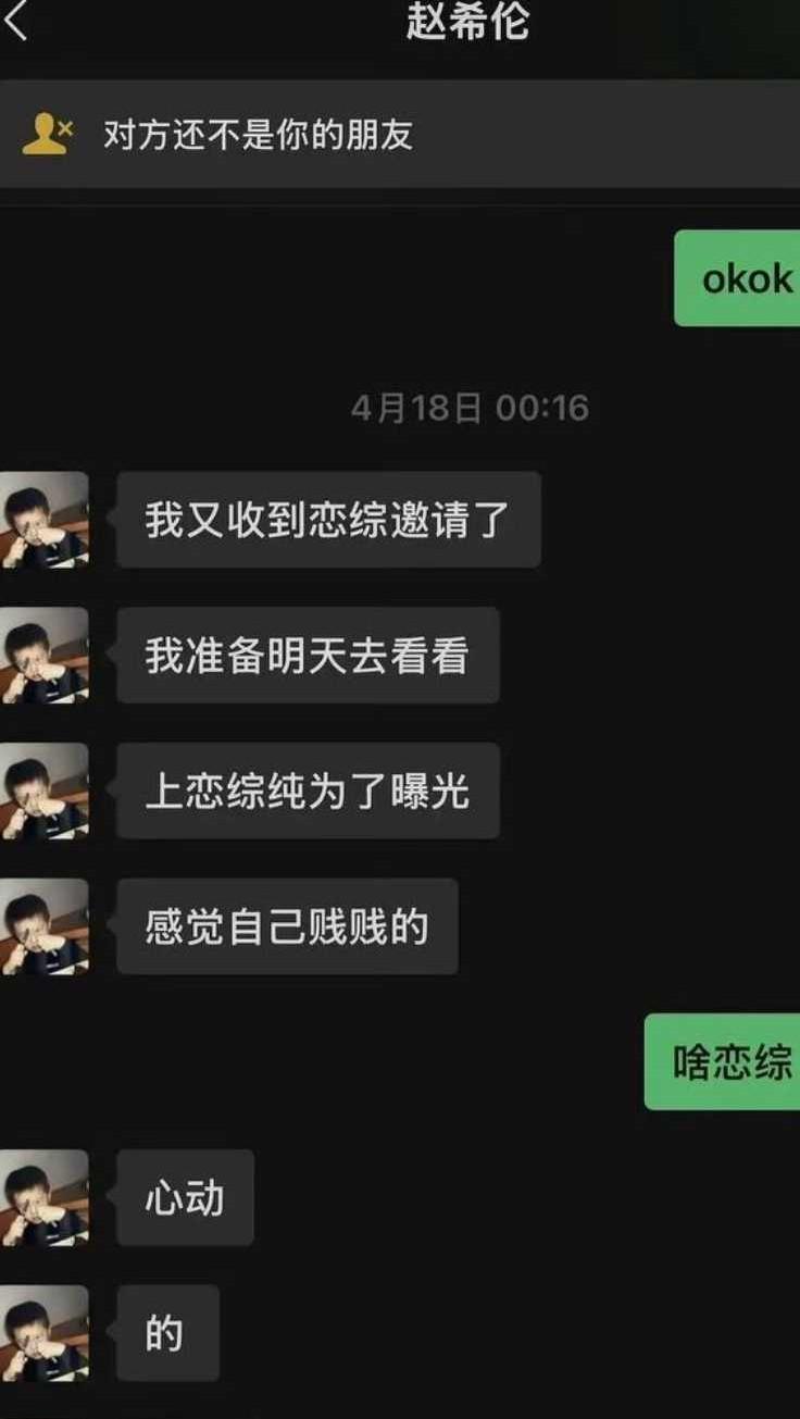 赵希伦相关聊天记录截图
